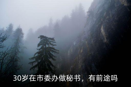許昌市市委辦公室有多少人,30歲在市委辦做秘書