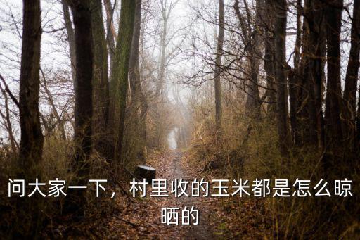 問大家一下，村里收的玉米都是怎么晾曬的