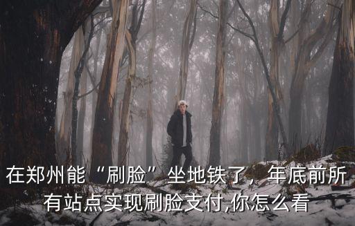 在鄭州能“刷臉”坐地鐵了，年底前所有站點實現刷臉支付,你怎么看