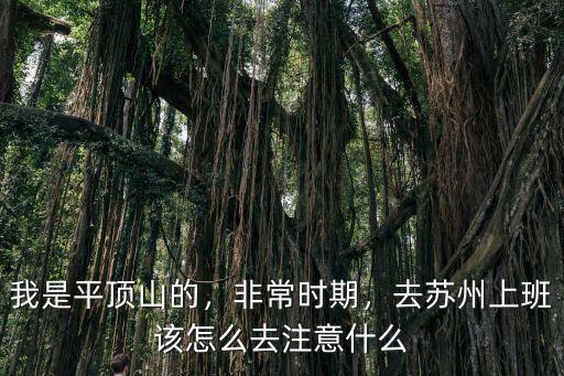我是平頂山的，非常時期，去蘇州上班該怎么去注意什么