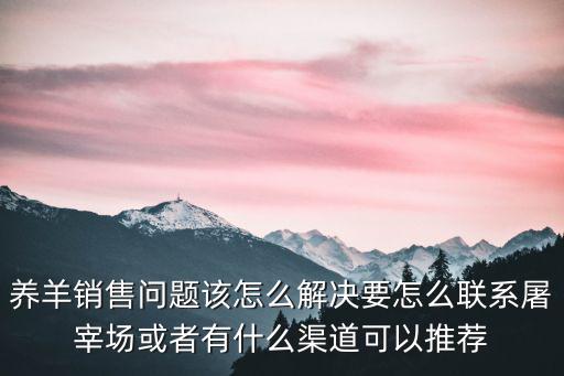河南羊肉屠宰場怎么聯(lián)系,養(yǎng)羊銷售問題該怎么解決