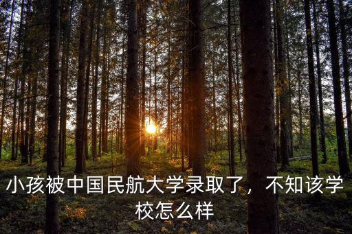 中國民航大學鄭州分校怎么樣,中國民航大學怎么樣