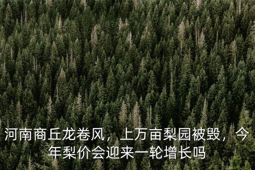 河南商丘龍卷風，上萬畝梨園被毀，今年梨價會迎來一輪增長嗎