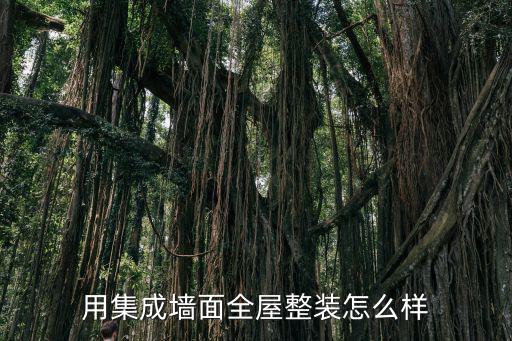 安陽全屋整裝怎么樣,全屋整裝這行生意怎么樣