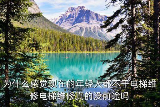為什么感覺現在的年輕人都不干電梯維修電梯維修真的沒前途嗎
