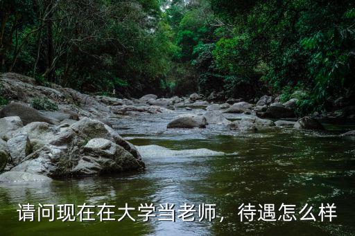 請問現在在大學當老師，待遇怎么樣