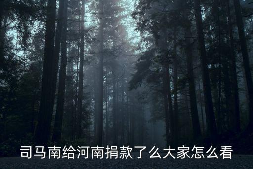 司馬南給河南捐款了么大家怎么看