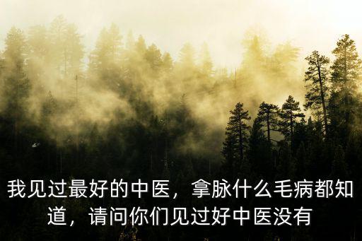 我見過最好的中醫(yī)，拿脈什么毛病都知道，請問你們見過好中醫(yī)沒有