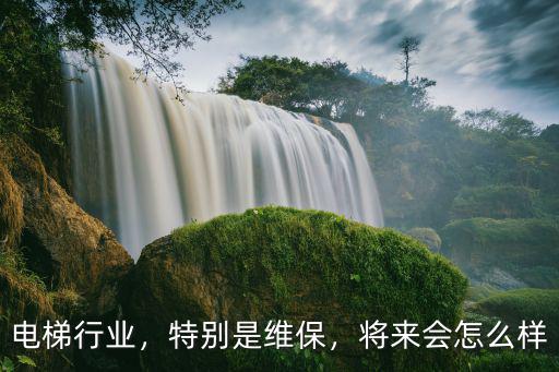 電梯行業，特別是維保，將來會怎么樣