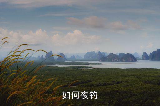夜釣怎么驅蚊鄭州,夜釣什么驅蚊最有效