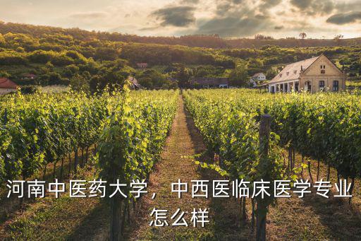 河南中醫藥大學，中西醫臨床醫學專業怎么樣