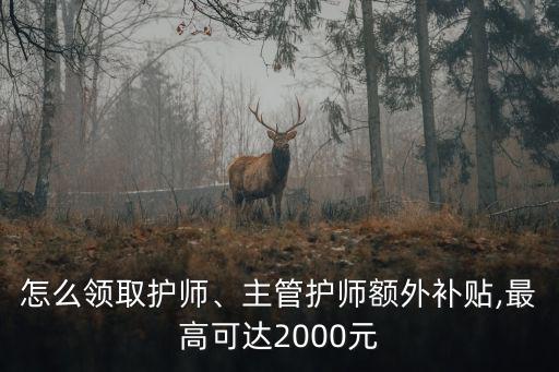 怎么領(lǐng)取護(hù)師、主管護(hù)師額外補(bǔ)貼,最高可達(dá)2000元