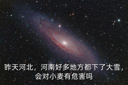 昨天河北，河南好多地方都下了大雪，會(huì)對小麥有危害嗎