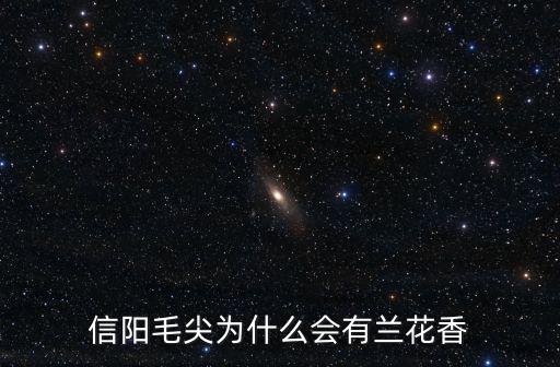 信陽毛尖蘭花怎么養(yǎng),怎樣才能買到真的信陽毛尖