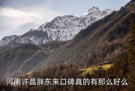 河南許昌胖東來口碑真的有那么好么