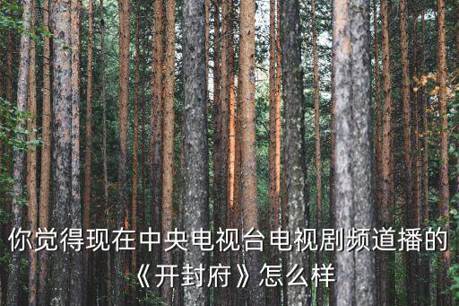 你覺得現在中央電視臺電視劇頻道播的《開封府》怎么樣
