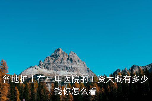 信陽護士工資多少,護士行業工資有多少