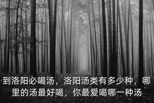 到洛陽必喝湯，洛陽湯類有多少種，哪里的湯最好喝，你最愛喝哪一種湯