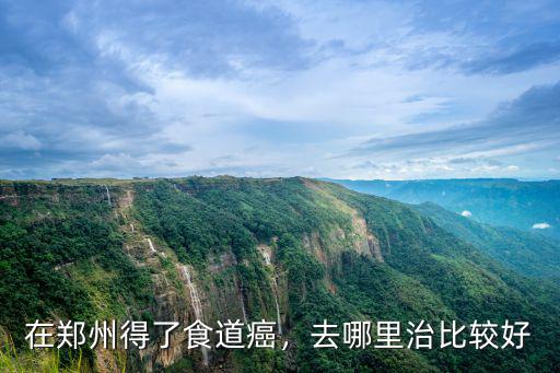 鄭州南通比較好的醫院在哪里,在鄭州得了食道癌