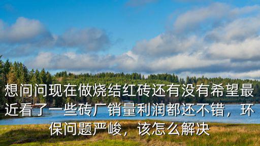 想問問現(xiàn)在做燒結(jié)紅磚還有沒有希望最近看了一些磚廠銷量利潤都還不錯，環(huán)保問題嚴(yán)峻，該怎么解決