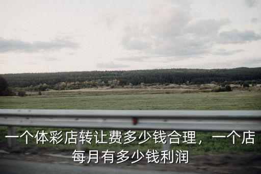 一個體彩店轉讓費多少錢合理，一個店每月有多少錢利潤