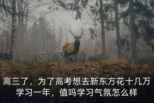 高三了，為了高考想去新東方花十幾萬學習一年，值嗎學習氣氛怎么樣