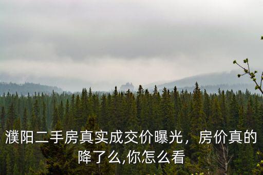 濮陽(yáng)早報(bào)怎么看,濮陽(yáng)濮北新區(qū)的發(fā)展你怎么看