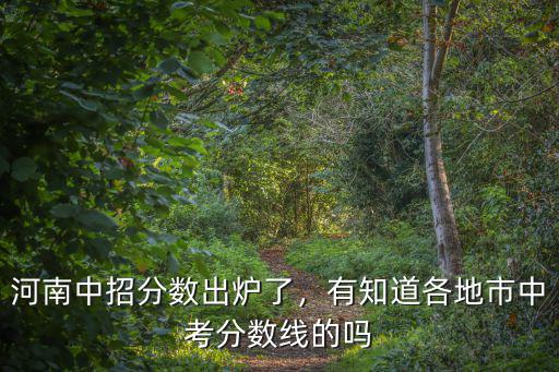 河南中招分數出爐了，有知道各地市中考分數線的嗎