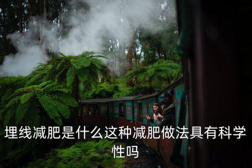 南陽埋線減肥哪里做,埋線減肥是什么