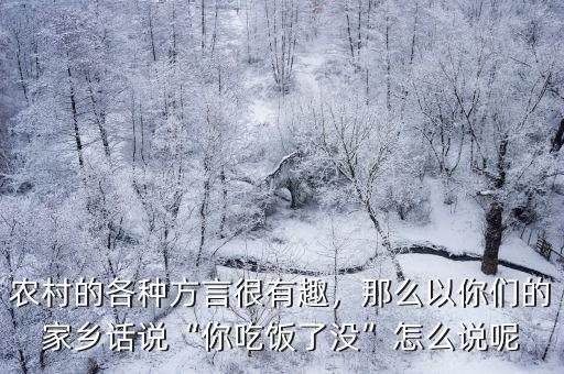 農村的各種方言很有趣，那么以你們的家鄉話說“你吃飯了沒”怎么說呢