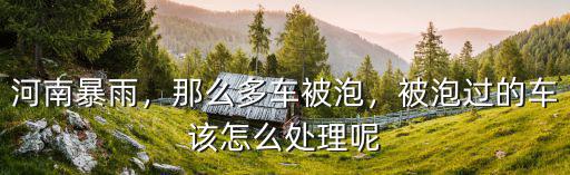 河南鄭州被水泡車怎么理賠,數以萬計水泡車保險賠不賠