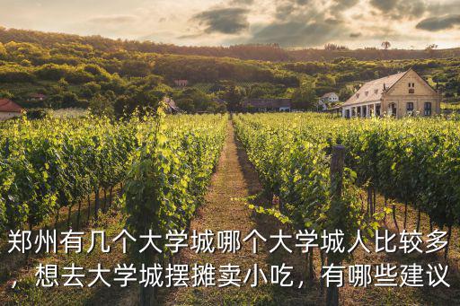 鄭州有幾個(gè)大學(xué)城哪個(gè)大學(xué)城人比較多，想去大學(xué)城擺攤賣小吃，有哪些建議