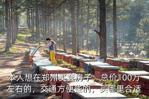 本人想在鄭州買套房子，總價(jià)100萬左右的，交通方便些的，買哪里合適