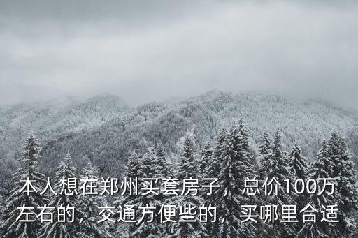 本人想在鄭州買(mǎi)套房子，總價(jià)100萬(wàn)左右的，交通方便些的，買(mǎi)哪里合適