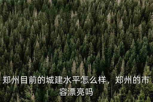 鄭州目前的城建水平怎么樣，鄭州的市容漂亮嗎