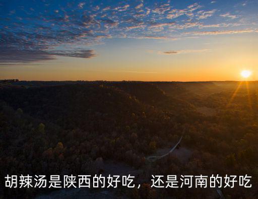 胡辣湯是陜西的好吃，還是河南的好吃