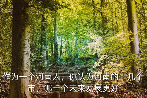 作為一個(gè)河南人，你認(rèn)為河南的十幾個(gè)市，哪一個(gè)未來(lái)發(fā)展更好
