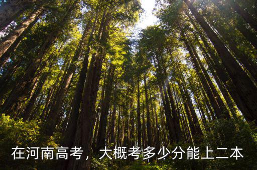 河南考個本科需要多少分,高考需要多少分才能考上