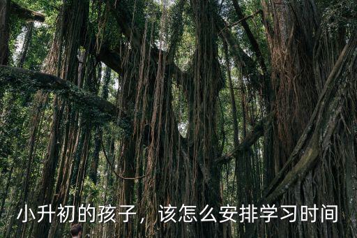 小升初的孩子，該怎么安排學習時間