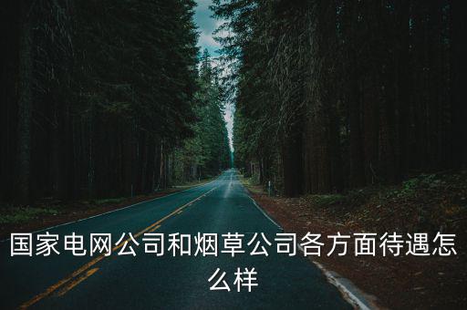 國家電網公司和煙草公司各方面待遇怎么樣