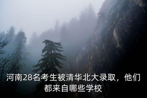 河南28名考生被清華北大錄取，他們都來(lái)自哪些學(xué)校
