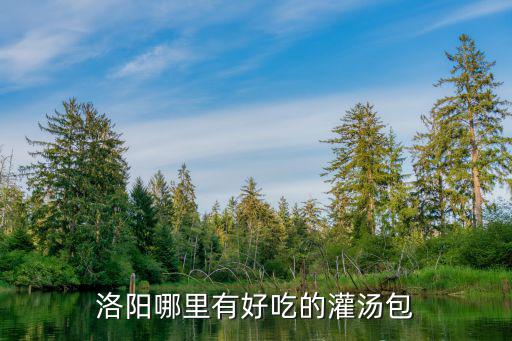 洛陽哪里有好吃的灌湯包