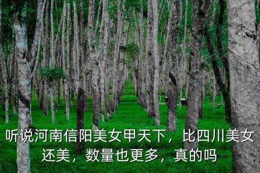 聽說河南信陽美女甲天下，比四川美女還美，數(shù)量也更多，真的嗎
