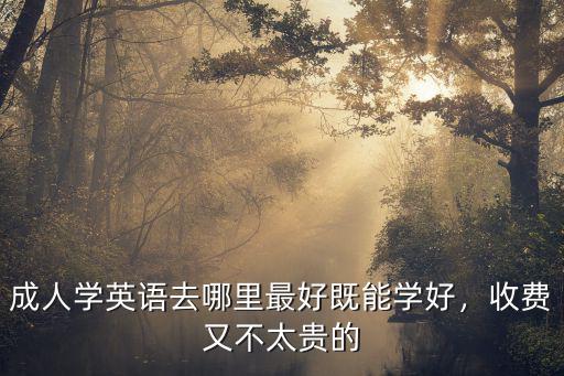 信陽成人學英語哪里比較好,成人學英語去哪里最好
