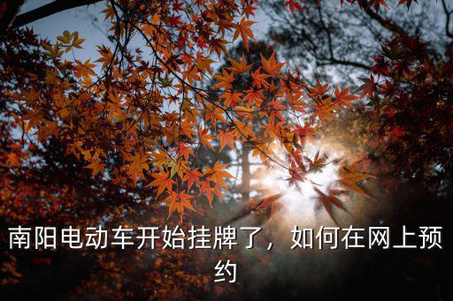 南陽電動車開始掛牌了，如何在網上預約
