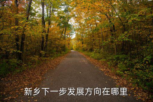 新鄉下一步發展方向在哪里