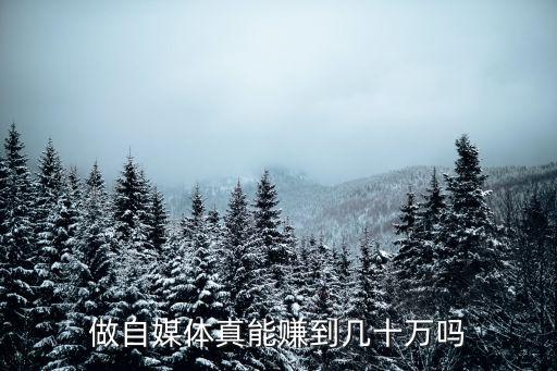 南陽人做自媒體怎么樣,做自媒體真能賺到幾十萬嗎