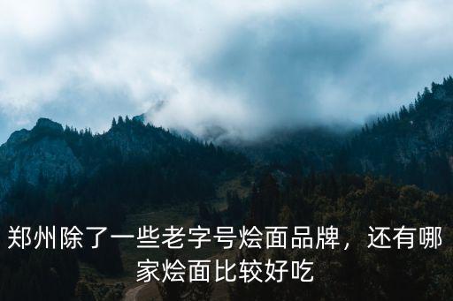 鄭州除了一些老字號燴面品牌，還有哪家燴面比較好吃