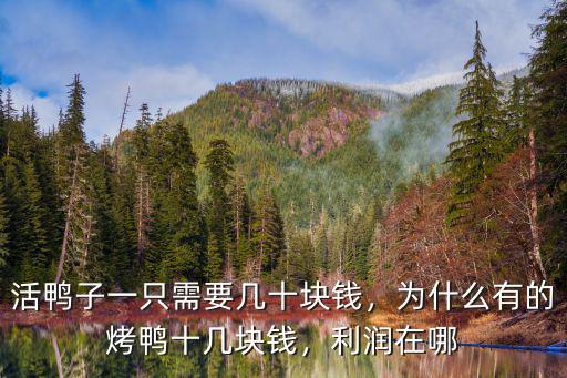 活鴨子一只需要幾十塊錢，為什么有的烤鴨十幾塊錢，利潤在哪