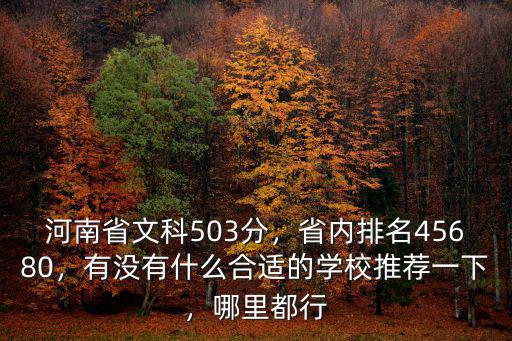 河南省文科503分，省內(nèi)排名45680，有沒有什么合適的學(xué)校推薦一下，哪里都行